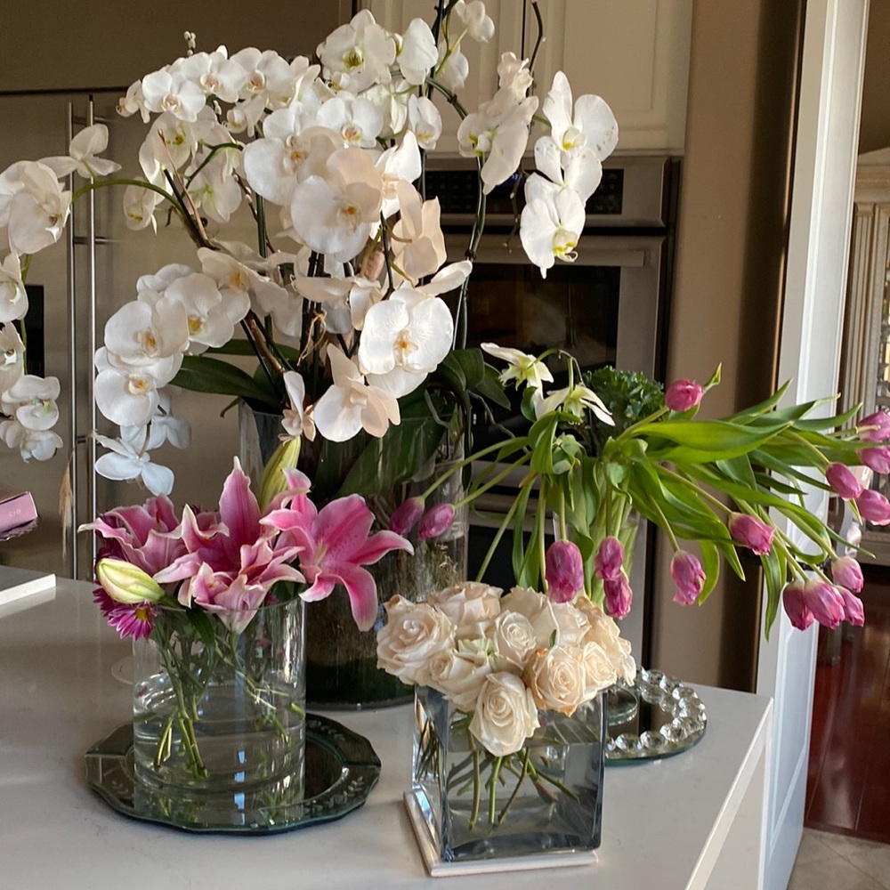 Meet your Posher, Fari